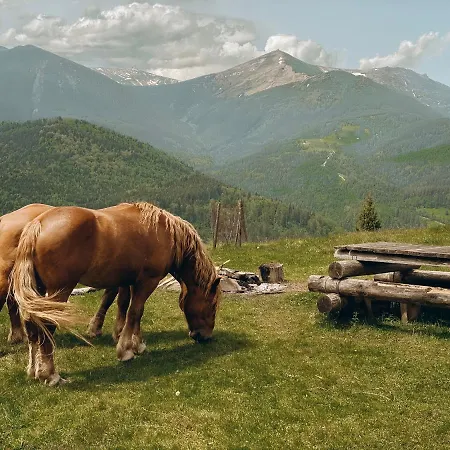 Hébergement de vacances Dream Hata Dzembronia